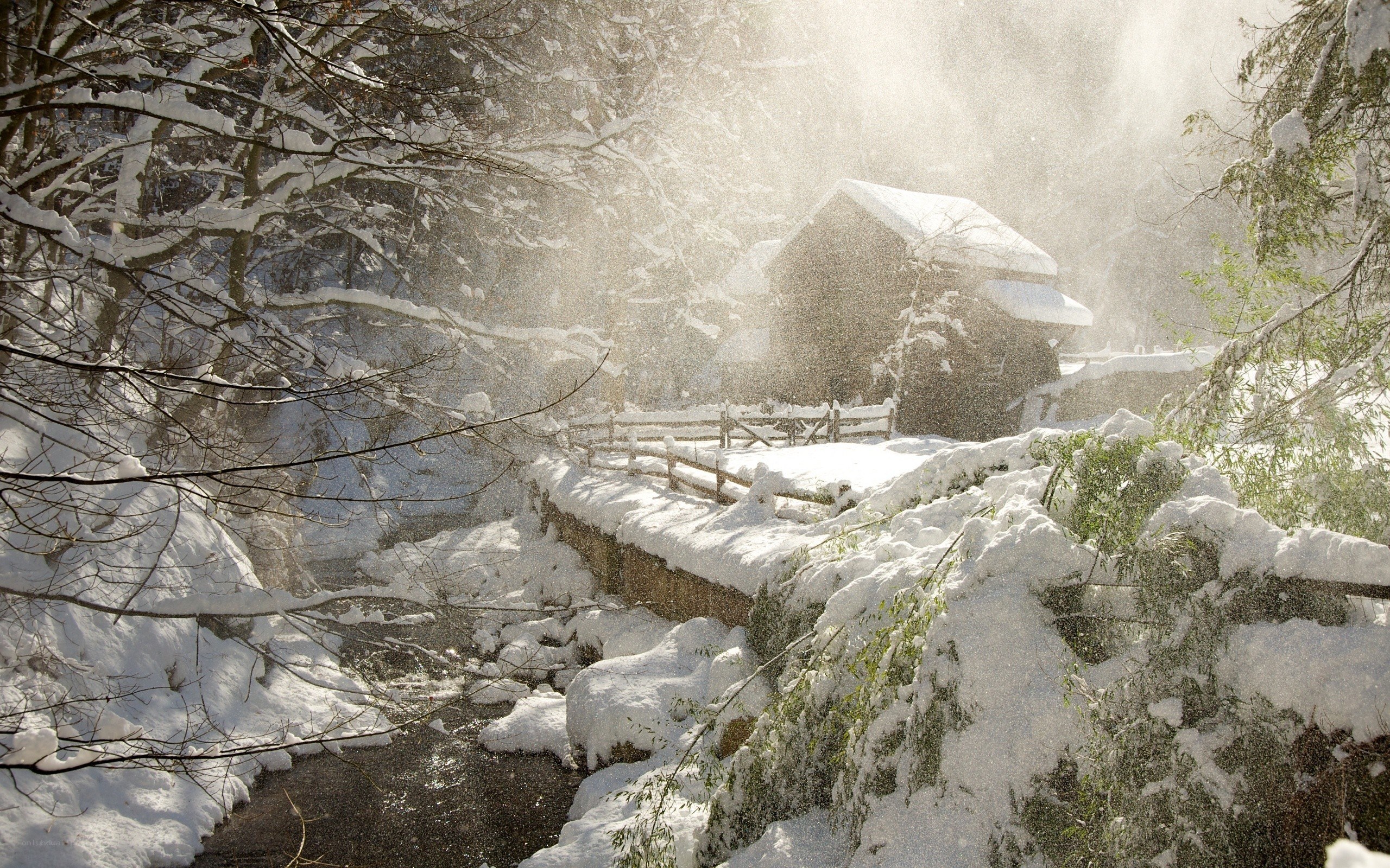 Snowy mill in winter forest