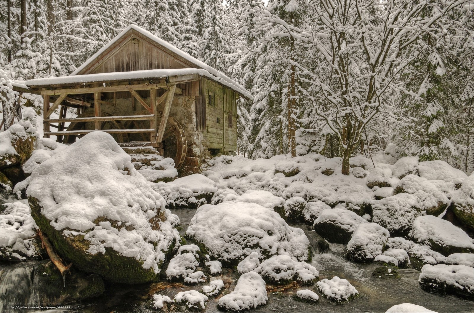 Snowy mill in winter forest