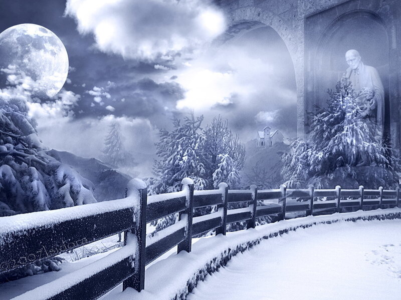 Snowy moonlit landscape