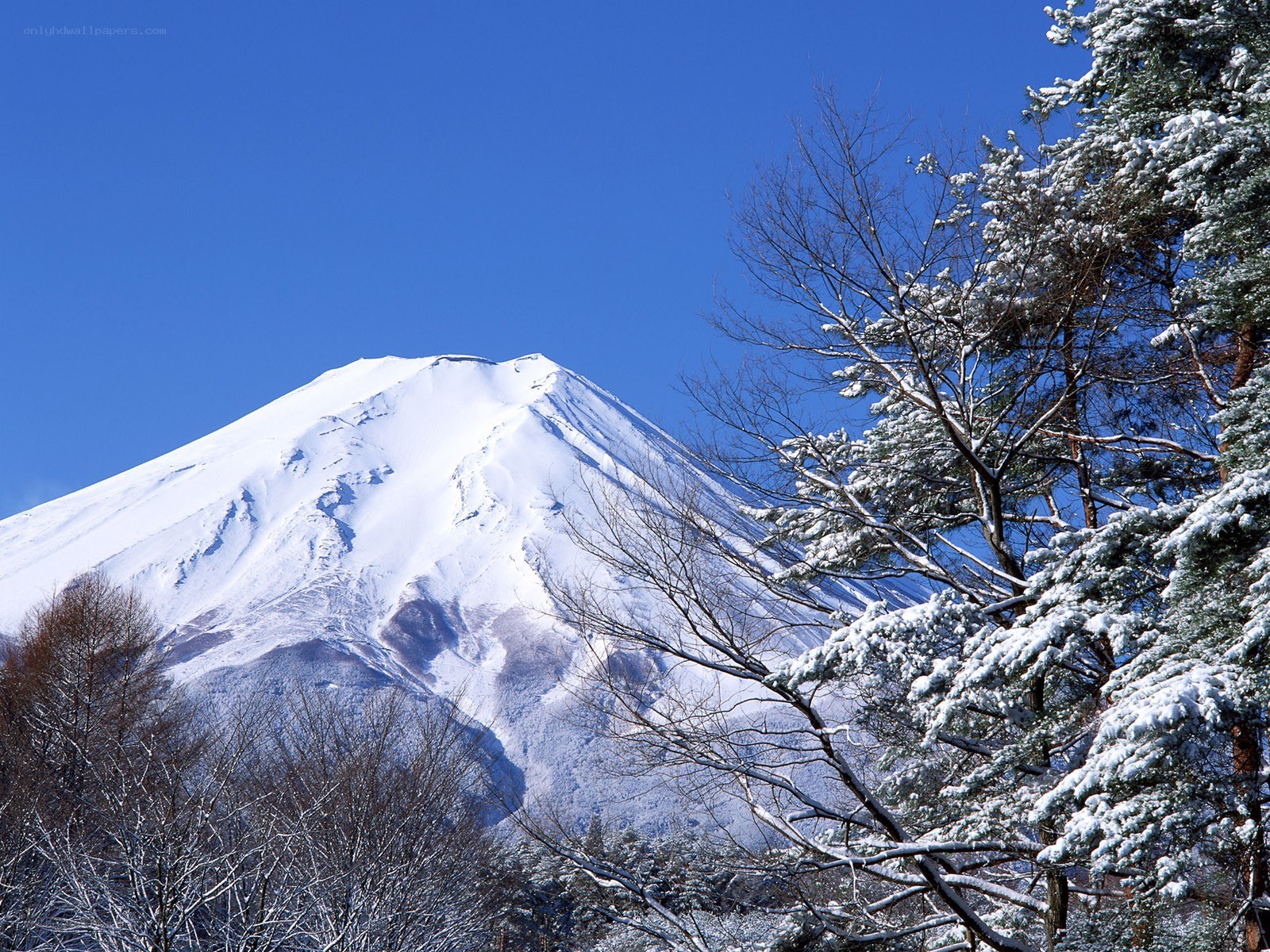Snowy Mount Fuji in winter