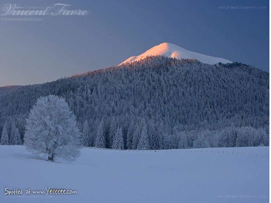 Snowy mountain at dawn