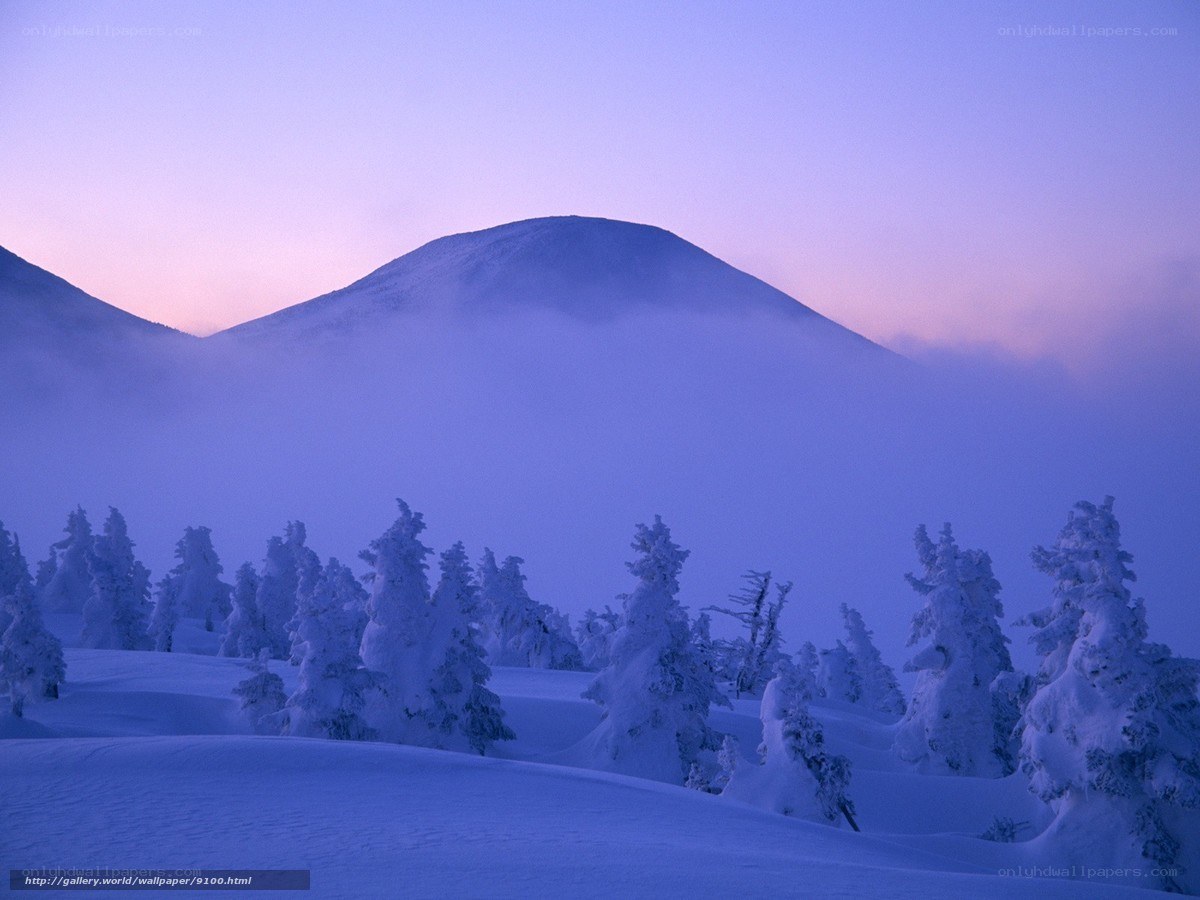 Snowy mountain at dawn