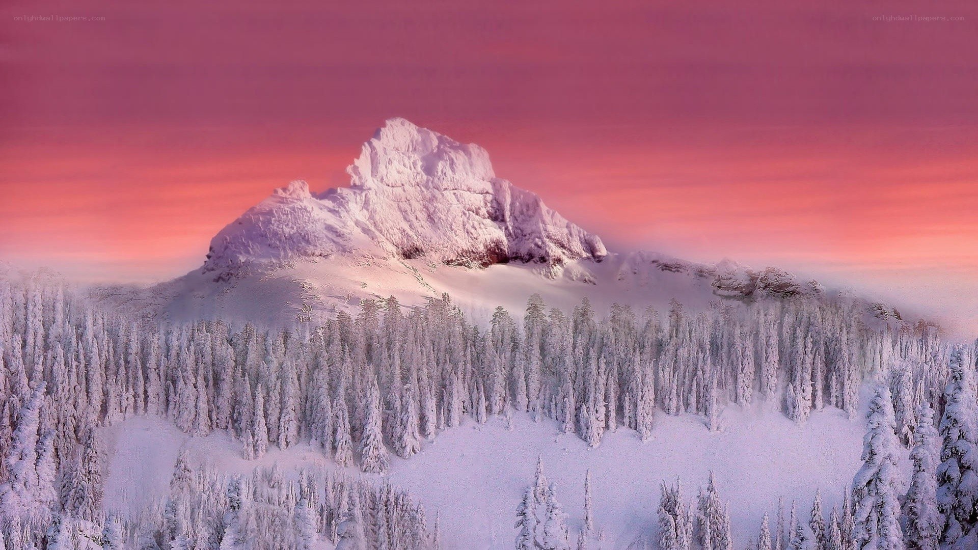 Snowy mountain at sunset