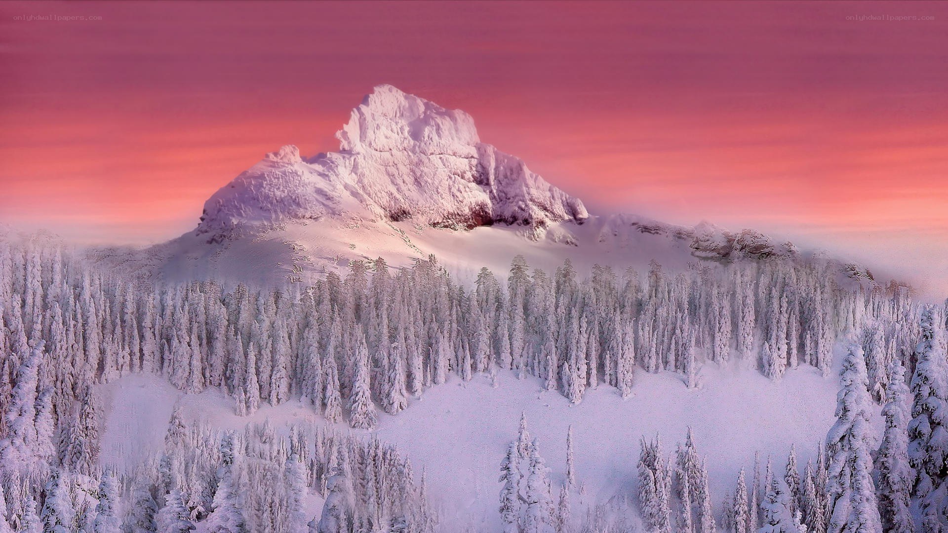 Snowy mountain at sunset