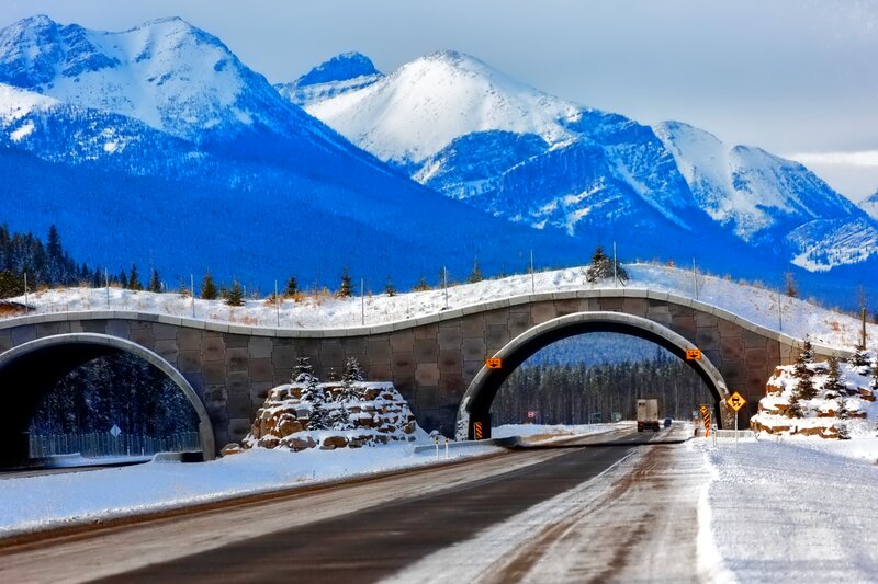Snowy Mountain Bridge — Blue
