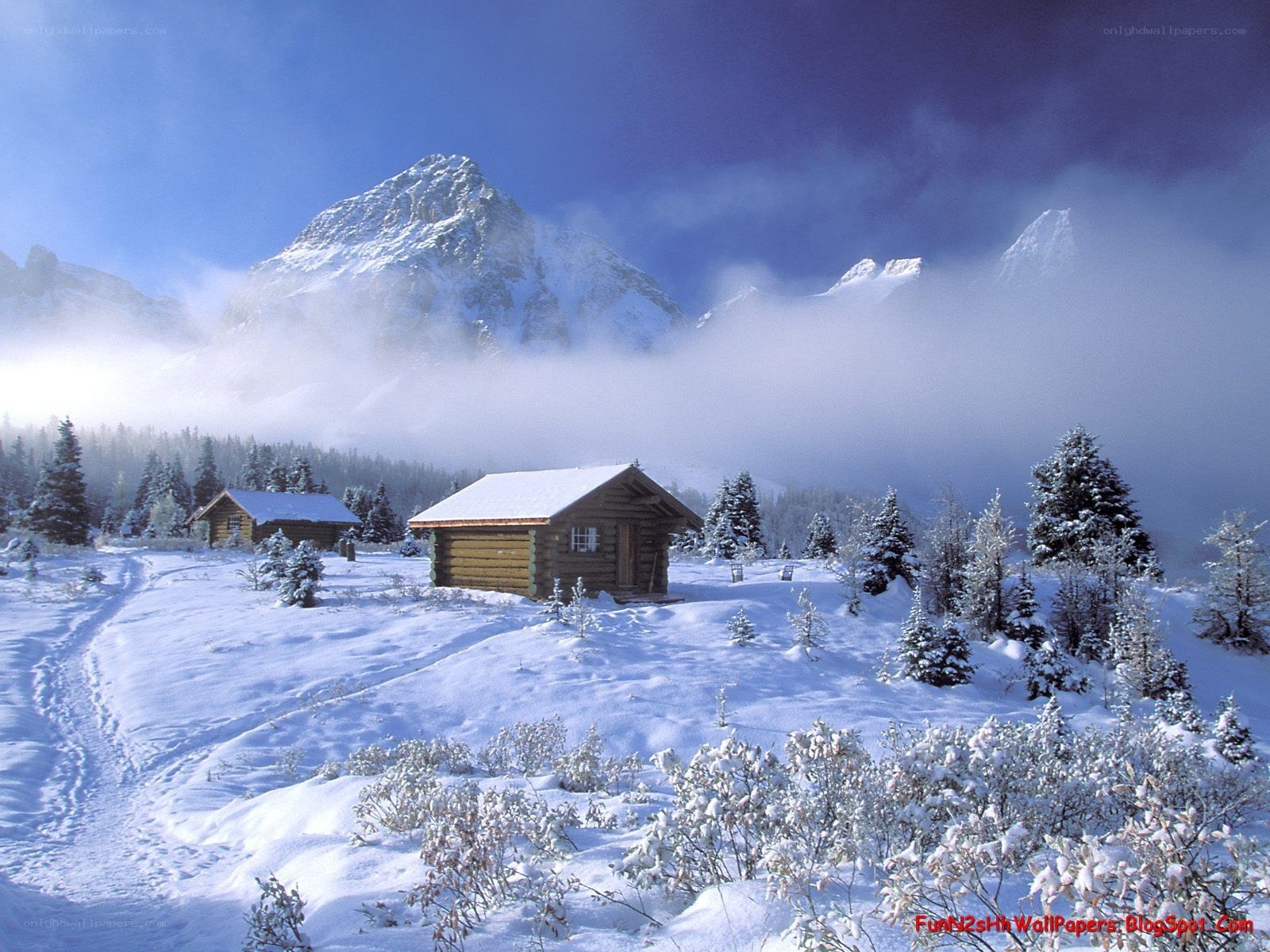 Snowy mountain cabin