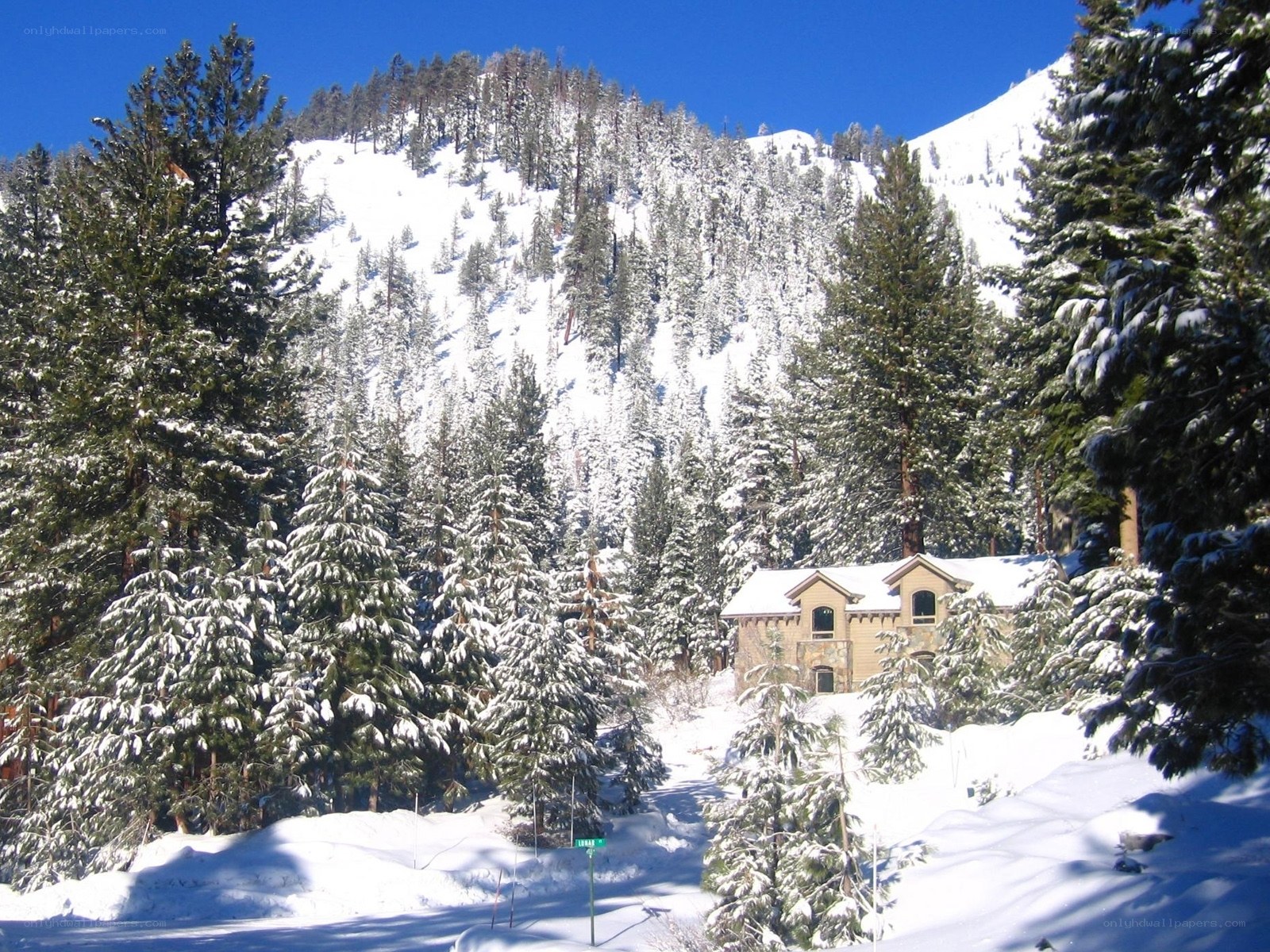 Snowy mountain cabin in forest