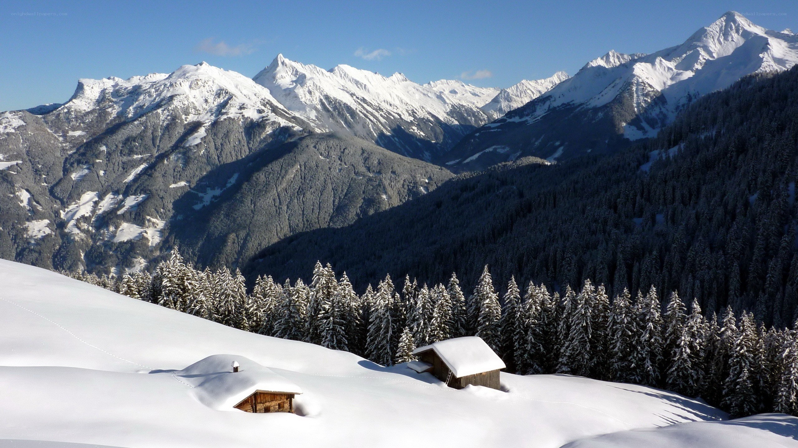 Snowy mountain cabins