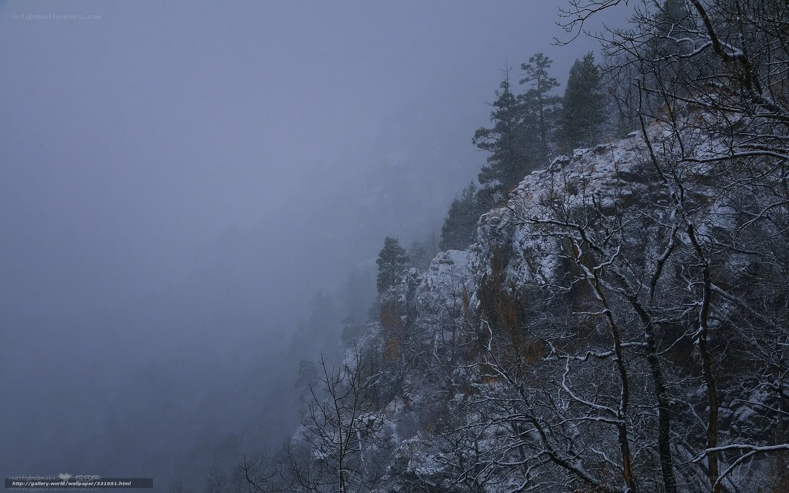 Snowy mountain cliff in fog