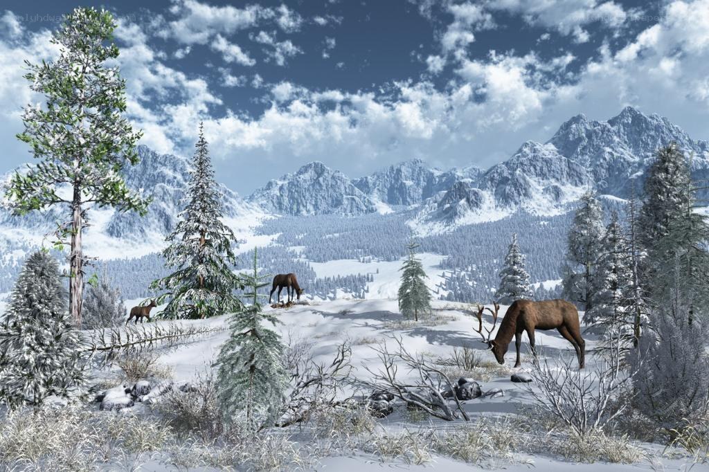 Snowy mountain elk scene