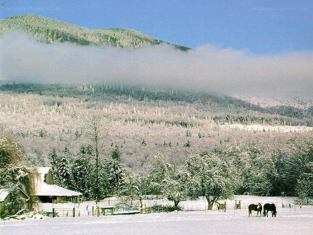 Snowy mountain farm scene