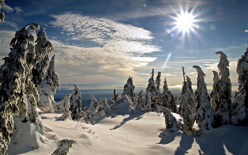 Snowy mountain forest at sunrise
