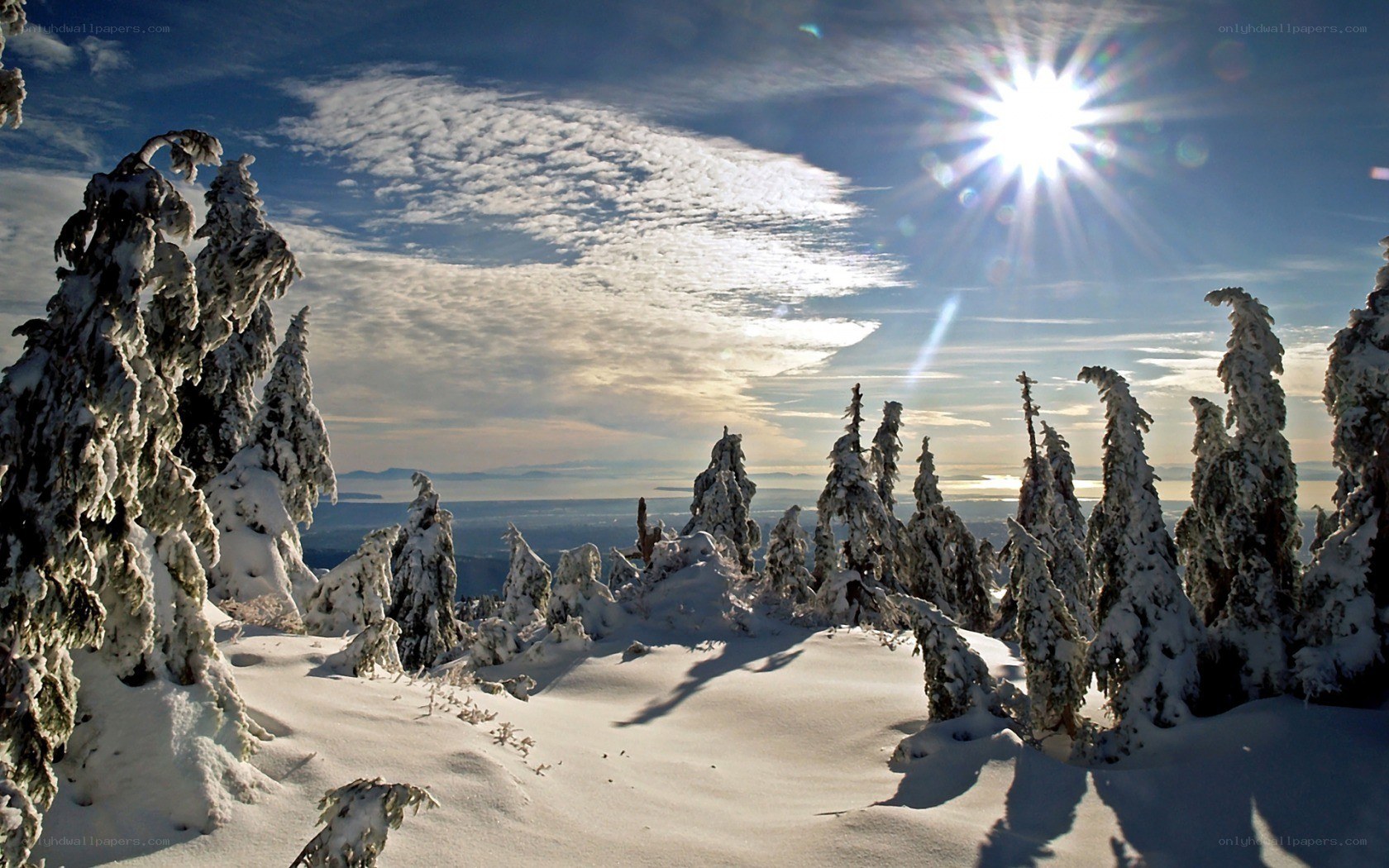 Snowy mountain forest at sunrise