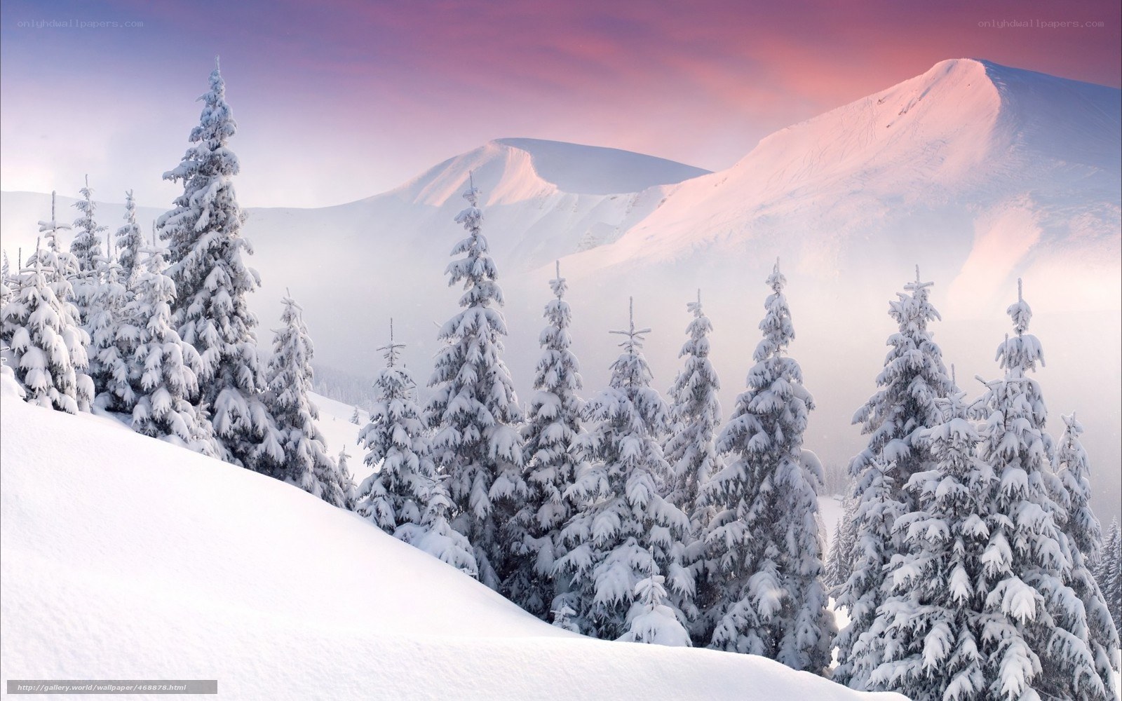 Snowy mountain forest at sunset
