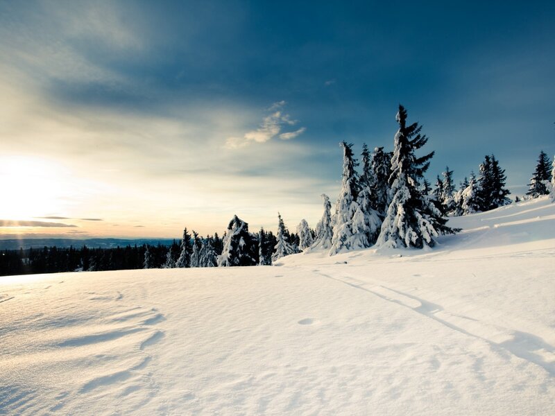 Snowy mountain forest at sunset