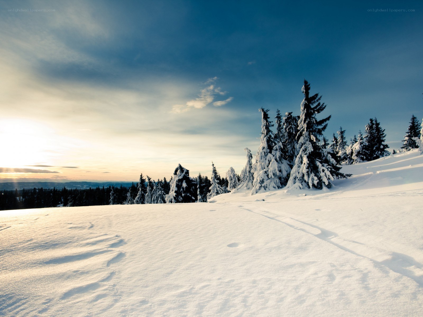 Snowy mountain forest at sunset
