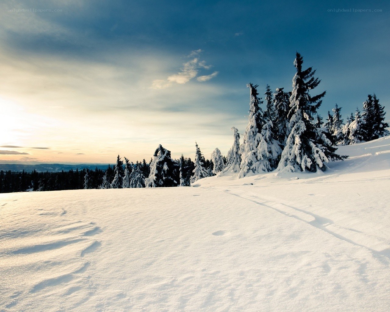 Snowy mountain forest at sunset