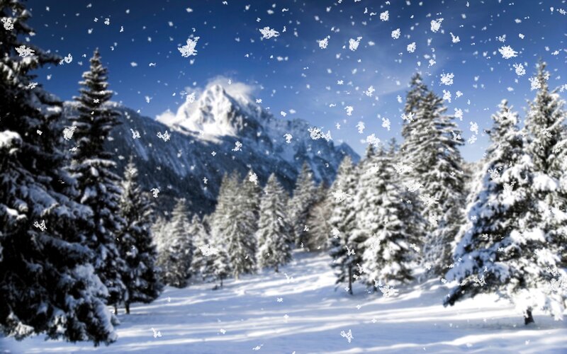 Snowy Mountain Forest — Blue