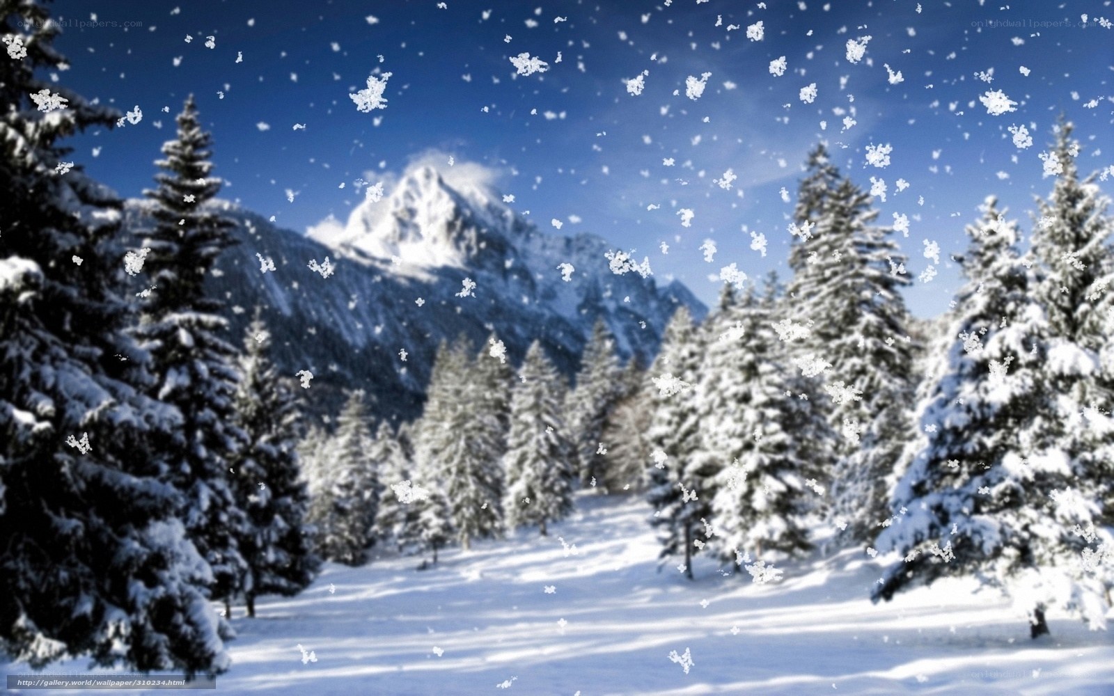Snowy mountain forest landscape