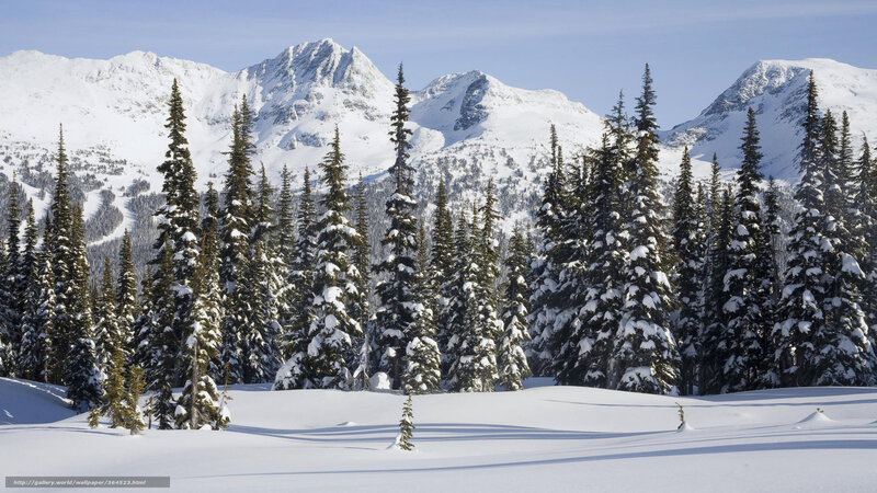 Snowy mountain forest landscape