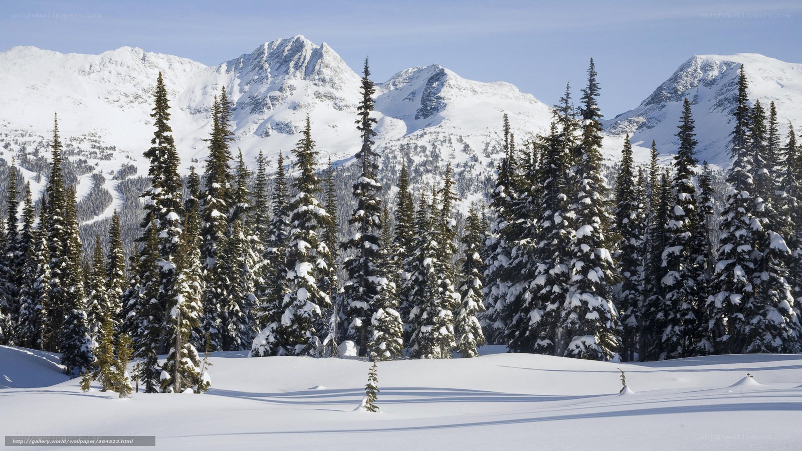 Snowy mountain forest landscape