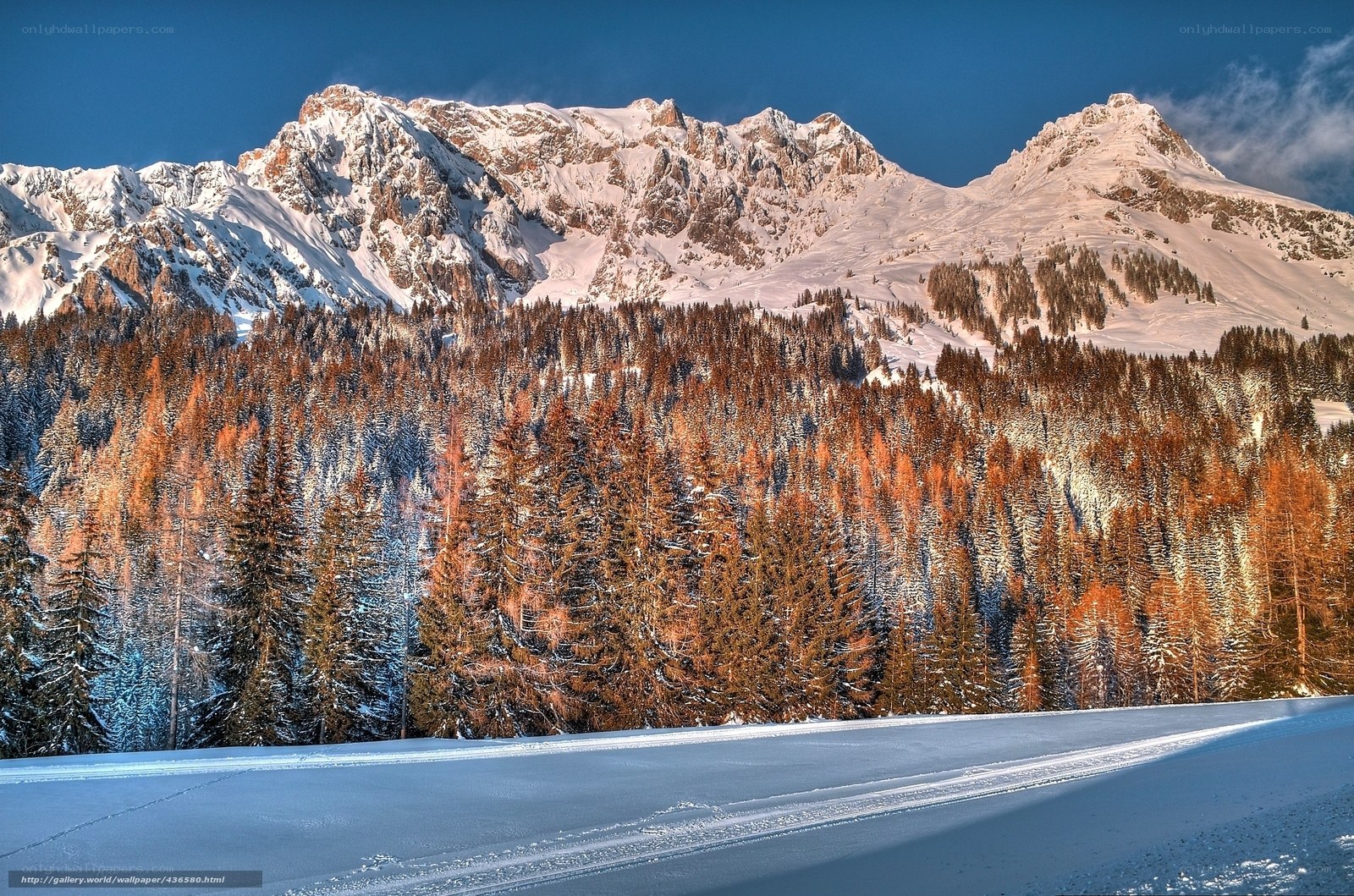 Snowy mountain forest landscape