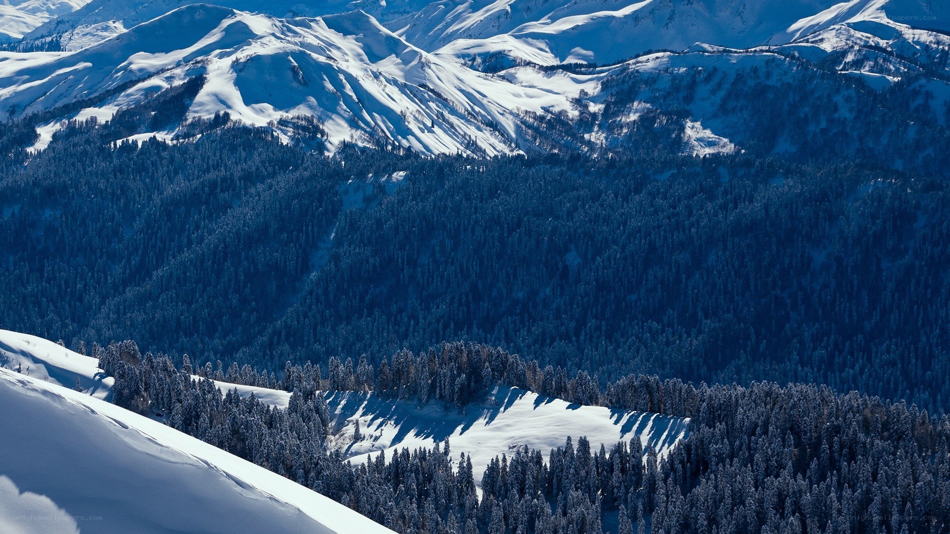 snowy mountain forest landscape