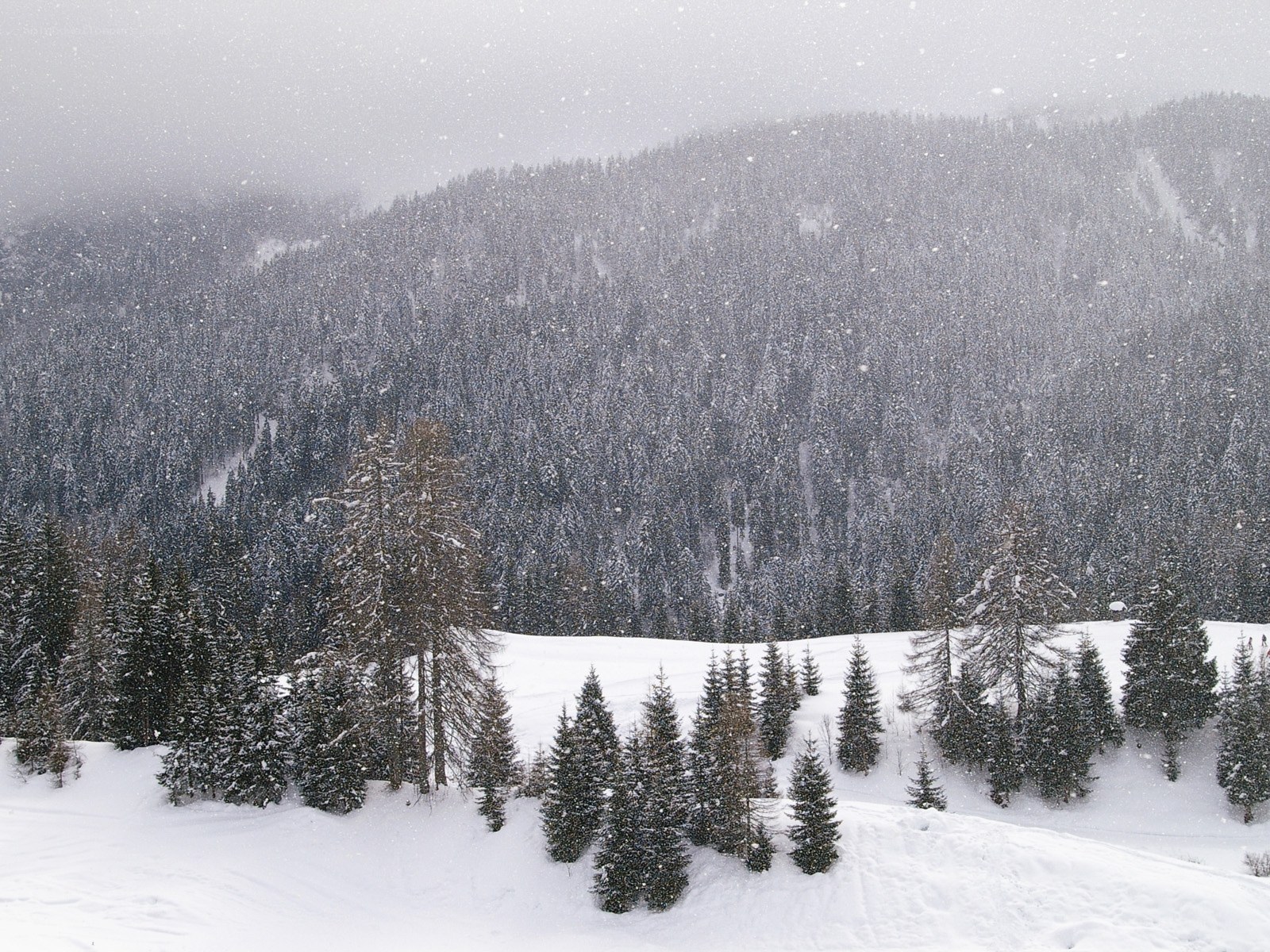 Snowy mountain forest landscape