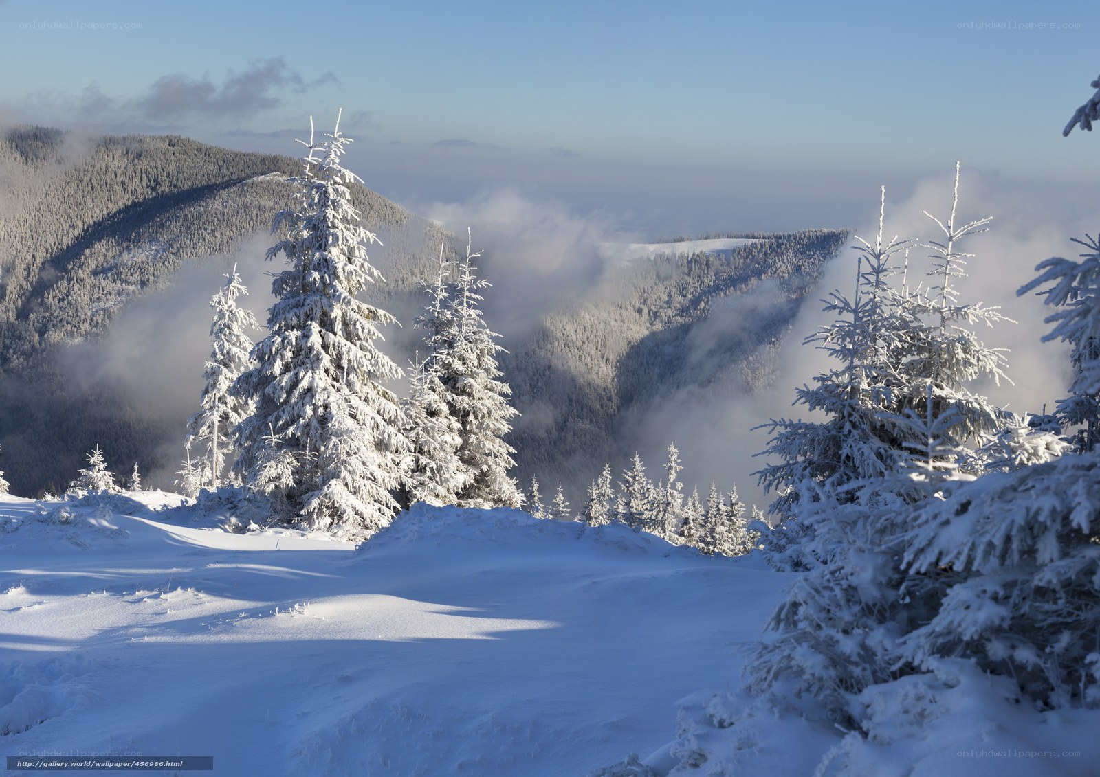 Snowy mountain forest landscape