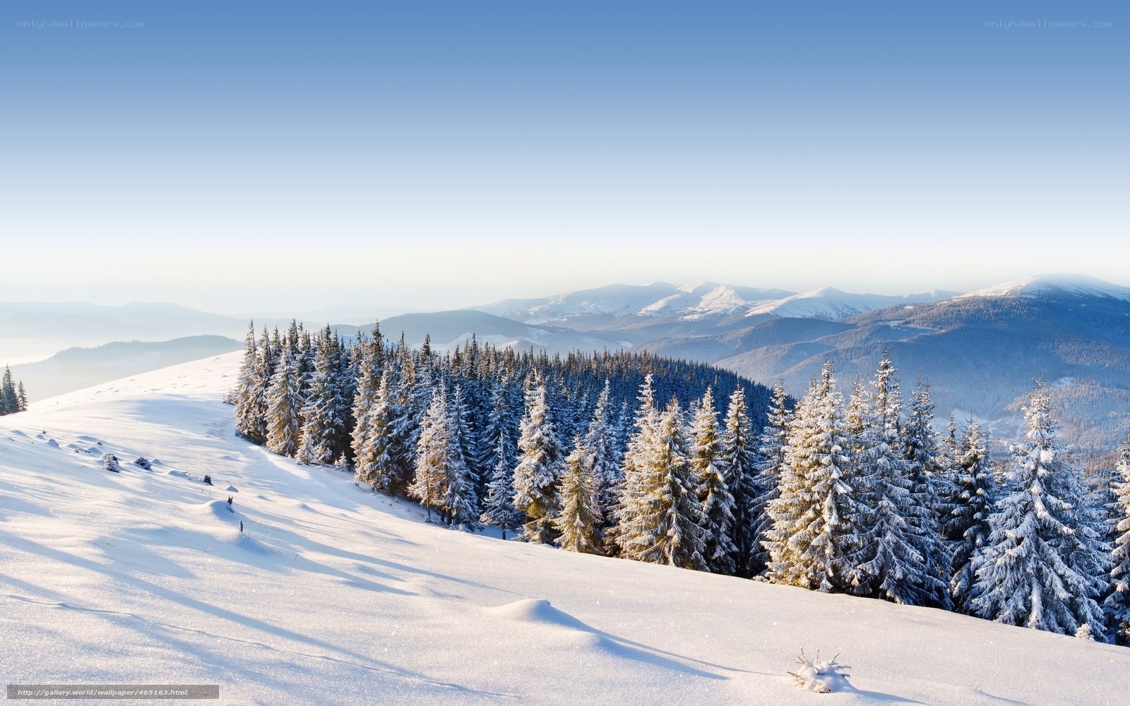 Snowy mountain forest landscape