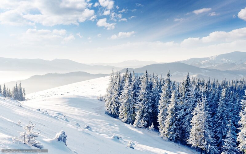 Snowy mountain forest landscape