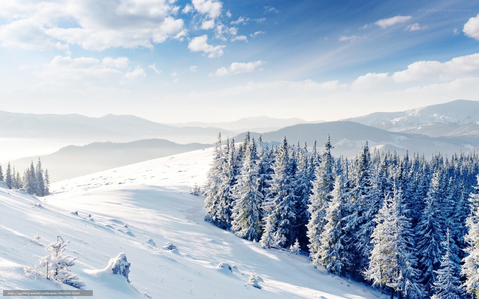 Snowy mountain forest landscape