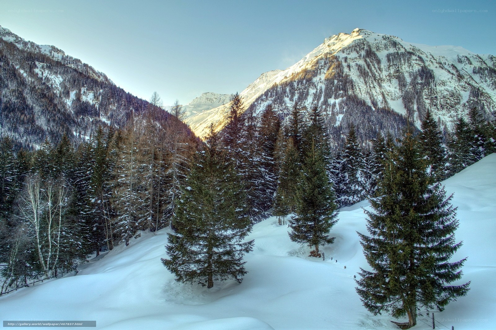 Snowy mountain forest landscape