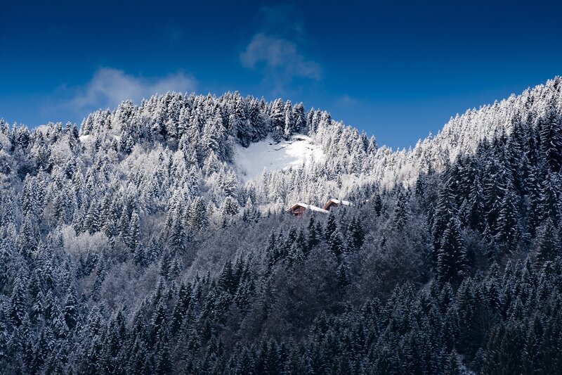 Snowy mountain forest landscape
