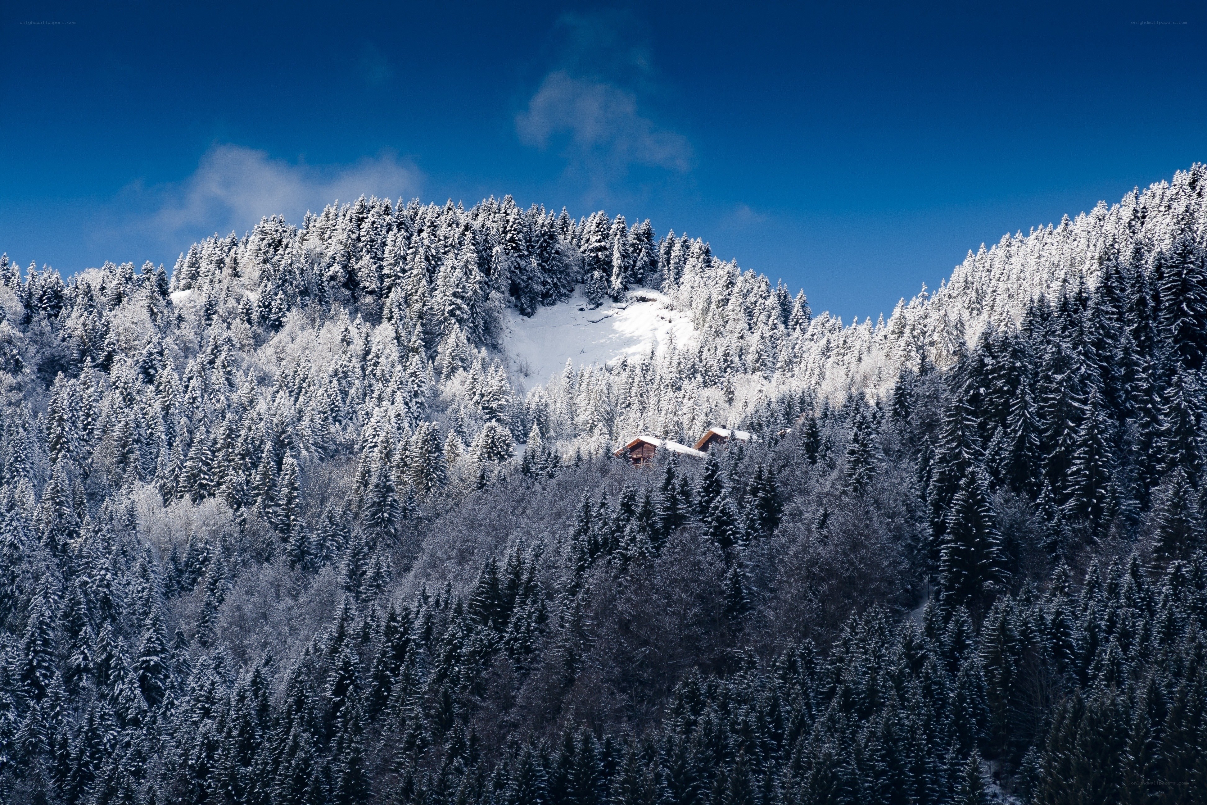 Snowy mountain forest landscape
