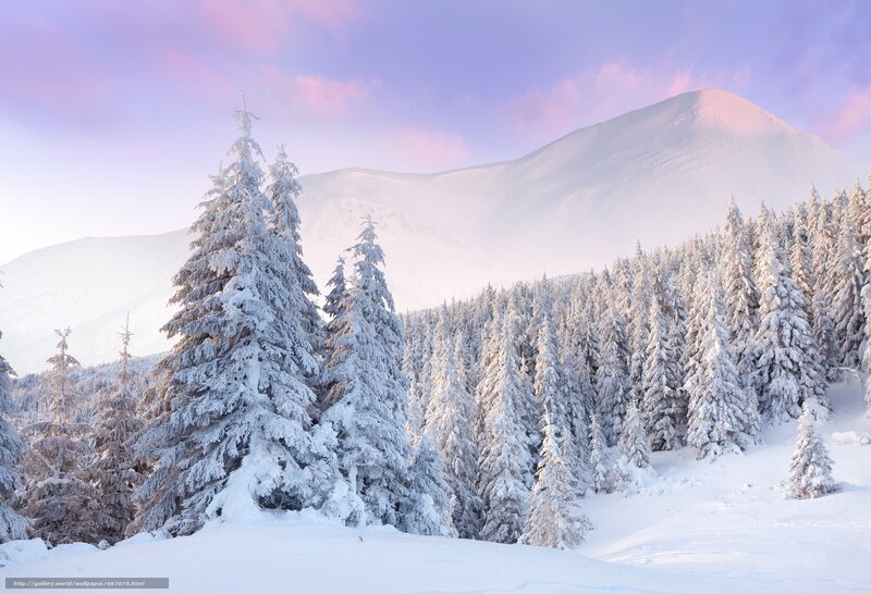 Snowy mountain forest landscape