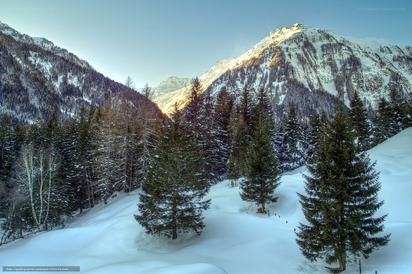 Snowy mountain forest landscape