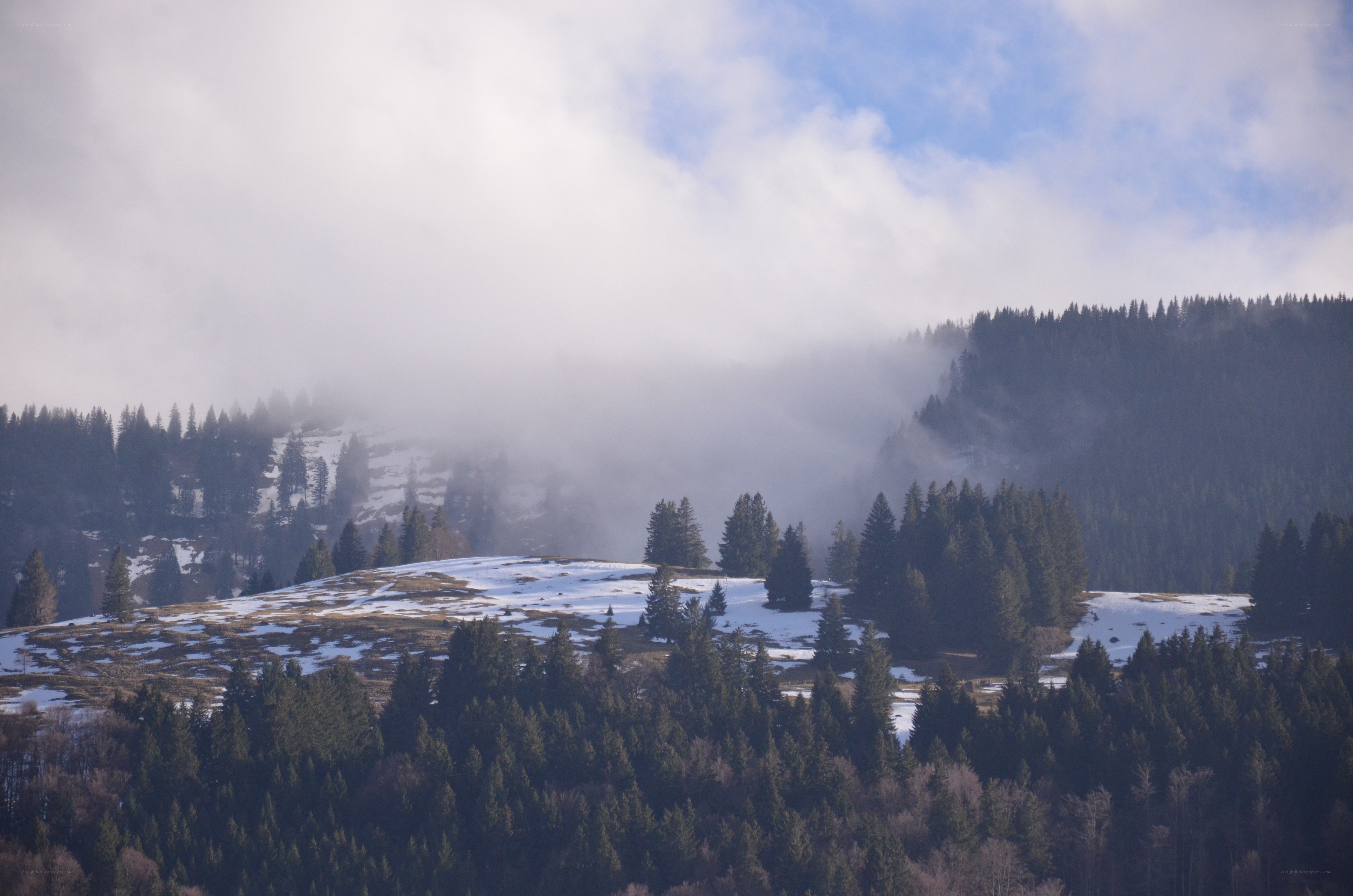 Snowy mountain forest landscape