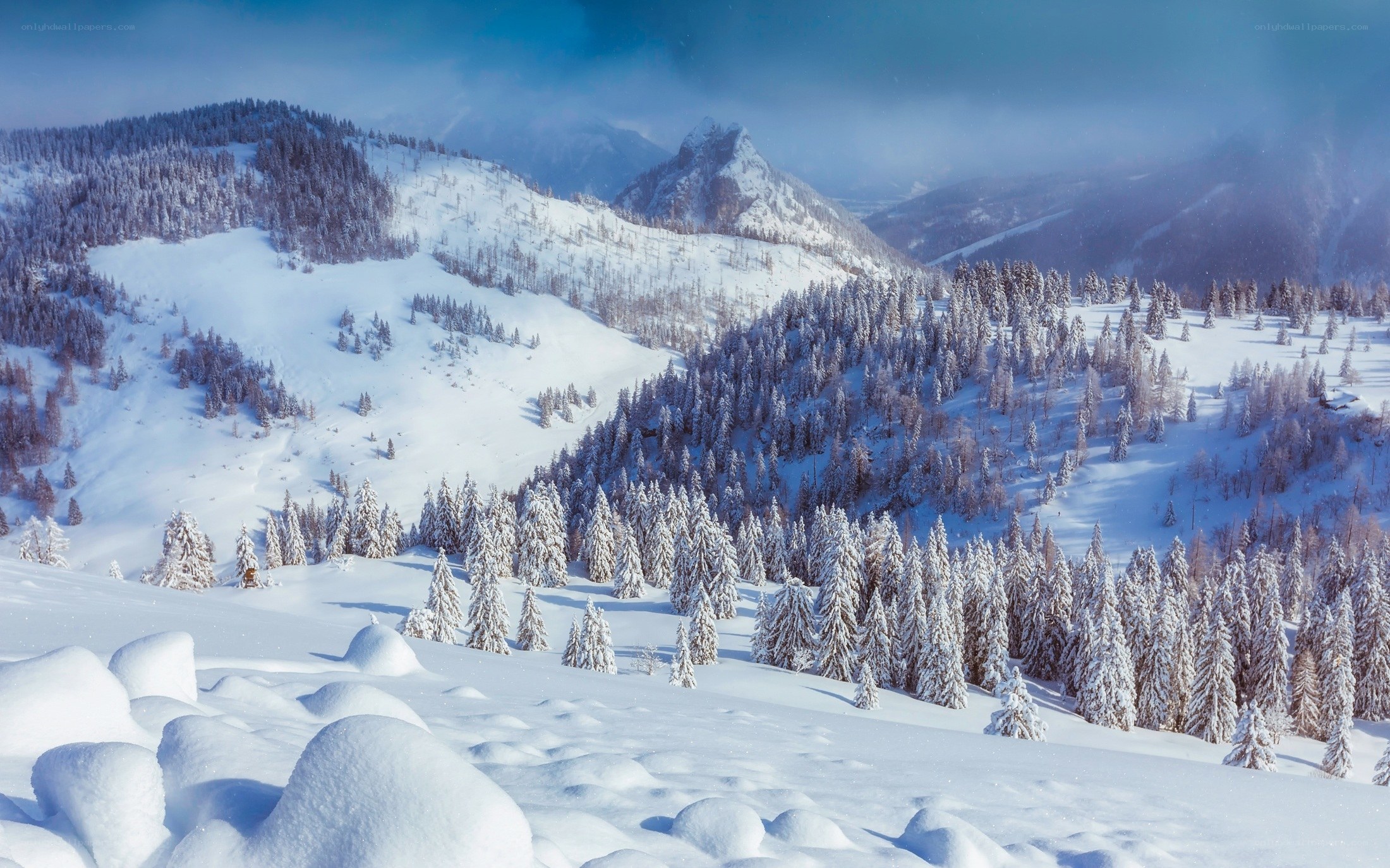 Snowy mountain forest landscape