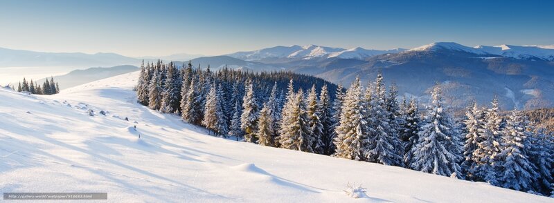 Snowy mountain forest landscape