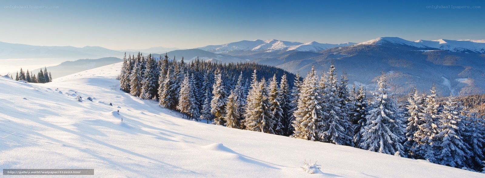 Snowy mountain forest landscape