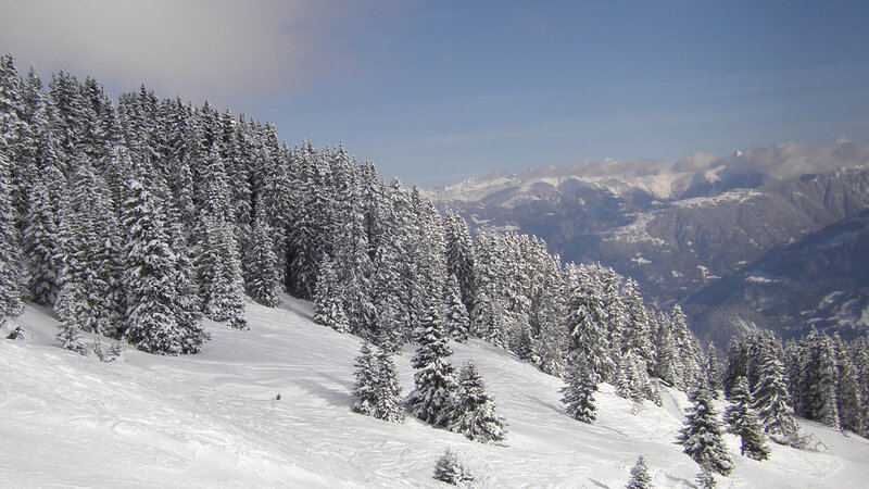 Snowy mountain forest landscape