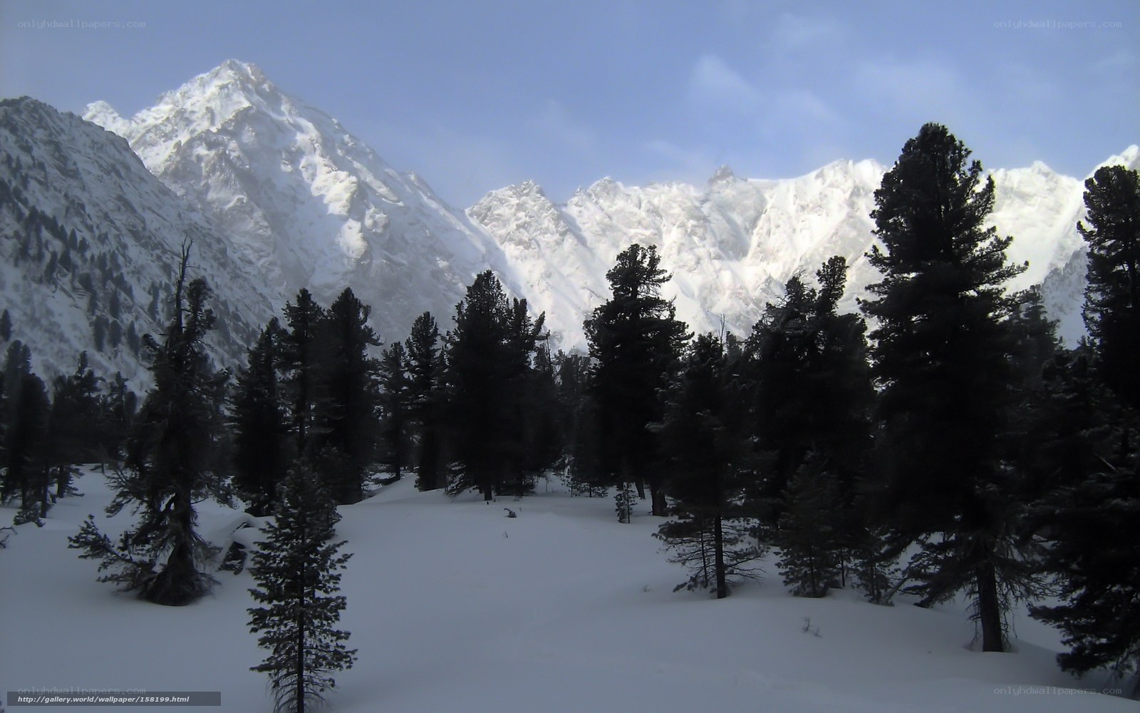 Snowy mountain forest landscape