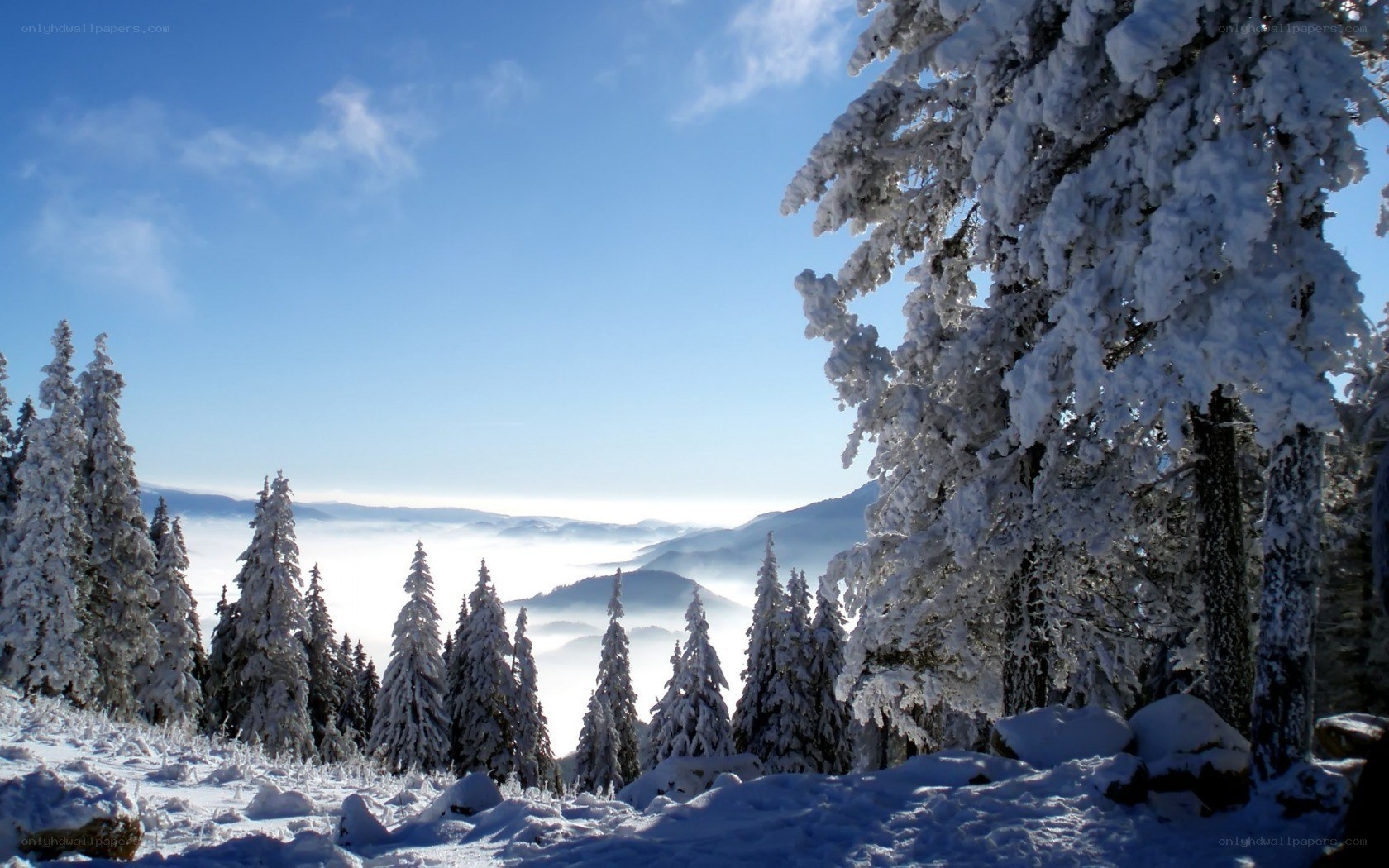 Snowy mountain forest landscape