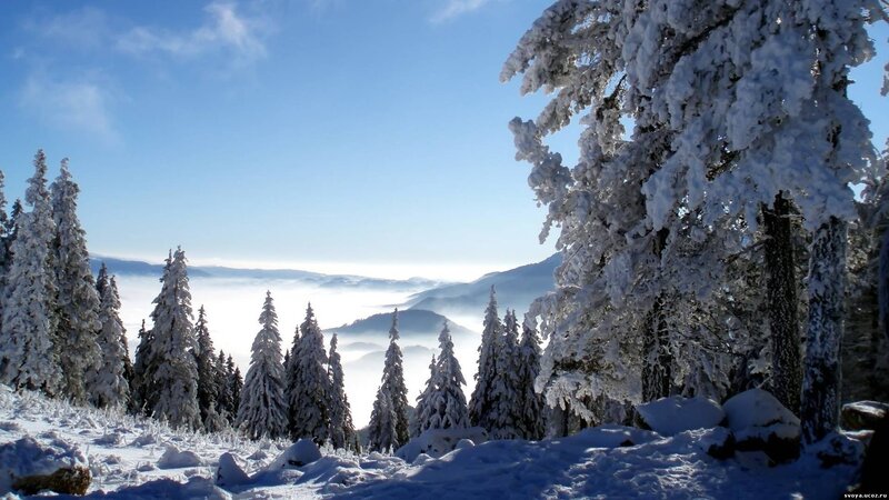 Snowy mountain forest landscape