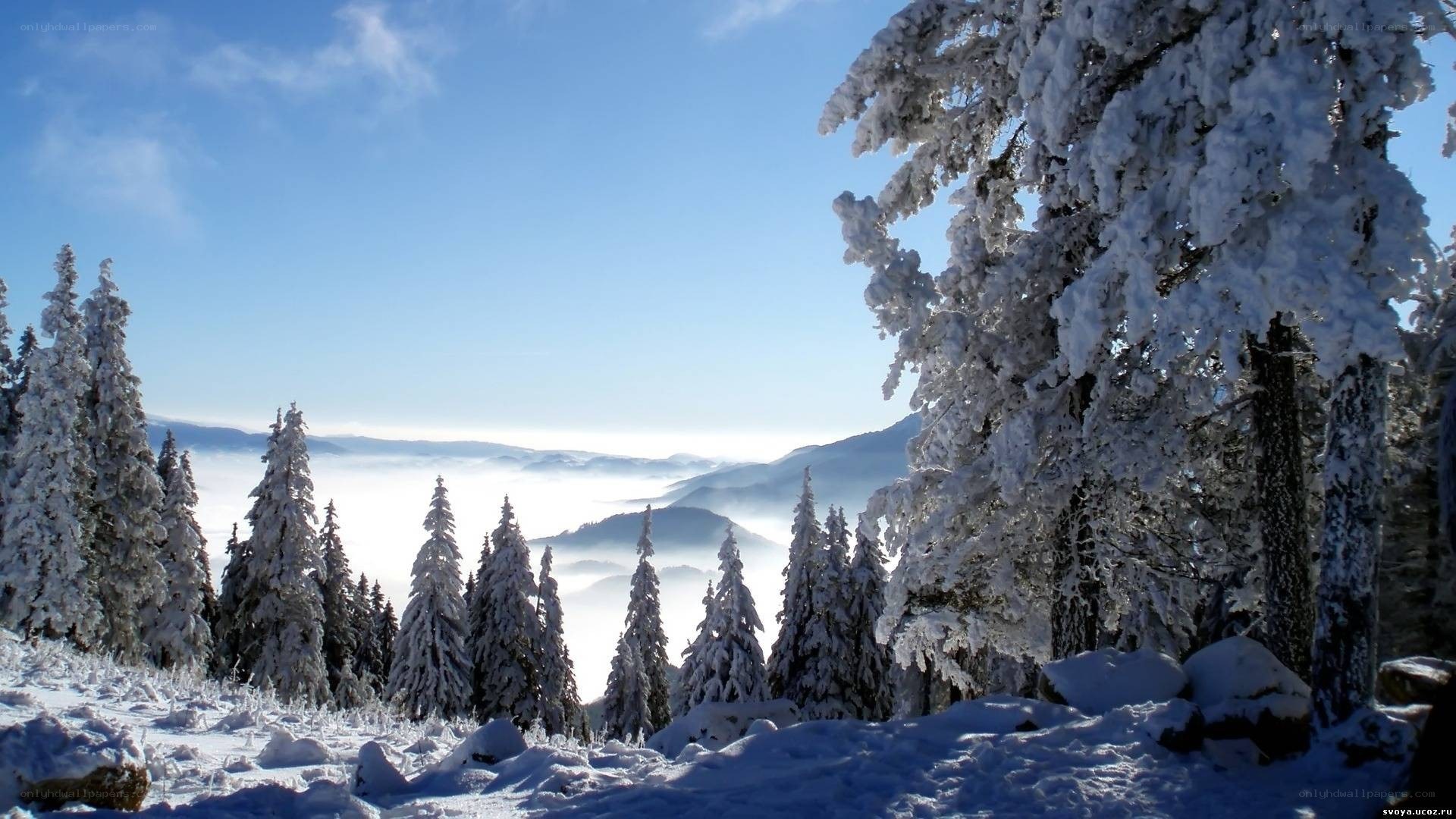 Snowy mountain forest landscape