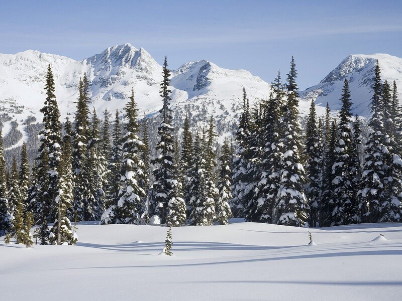 Snowy mountain forest landscape