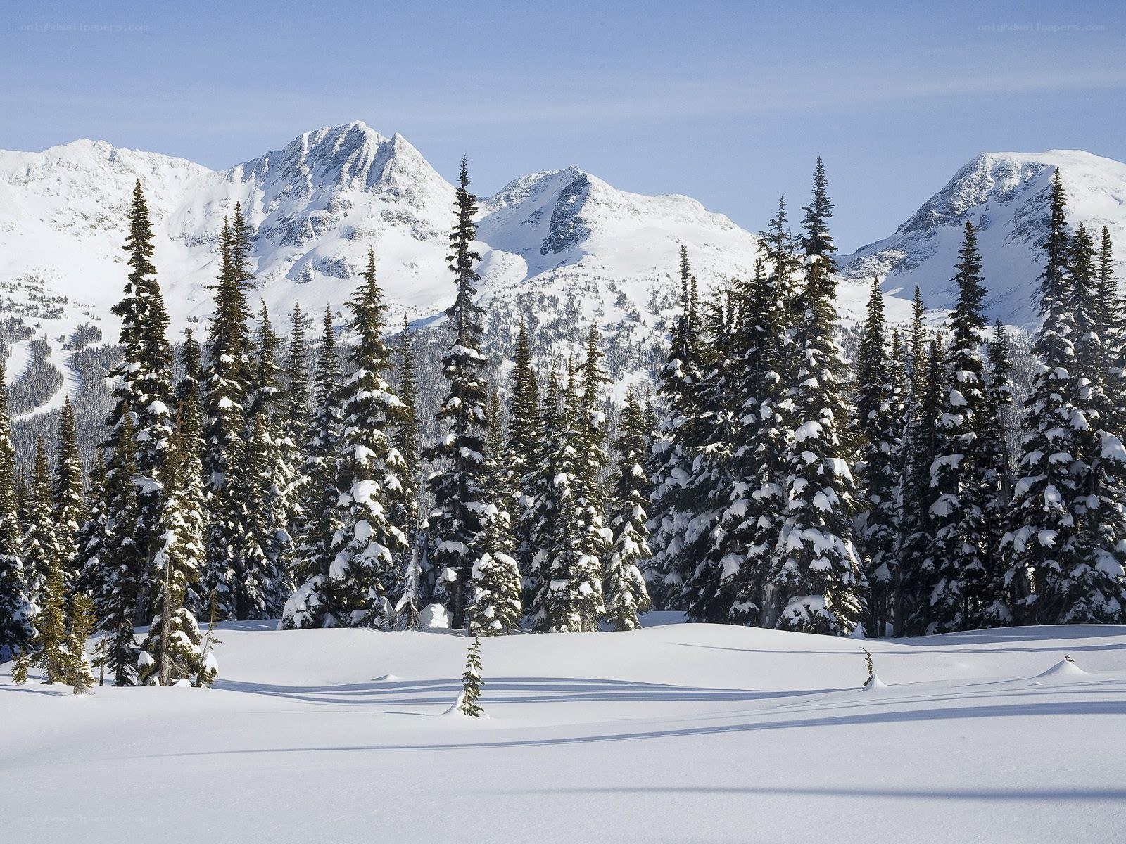 Snowy mountain forest landscape