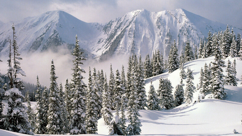 Snowy mountain forest landscape