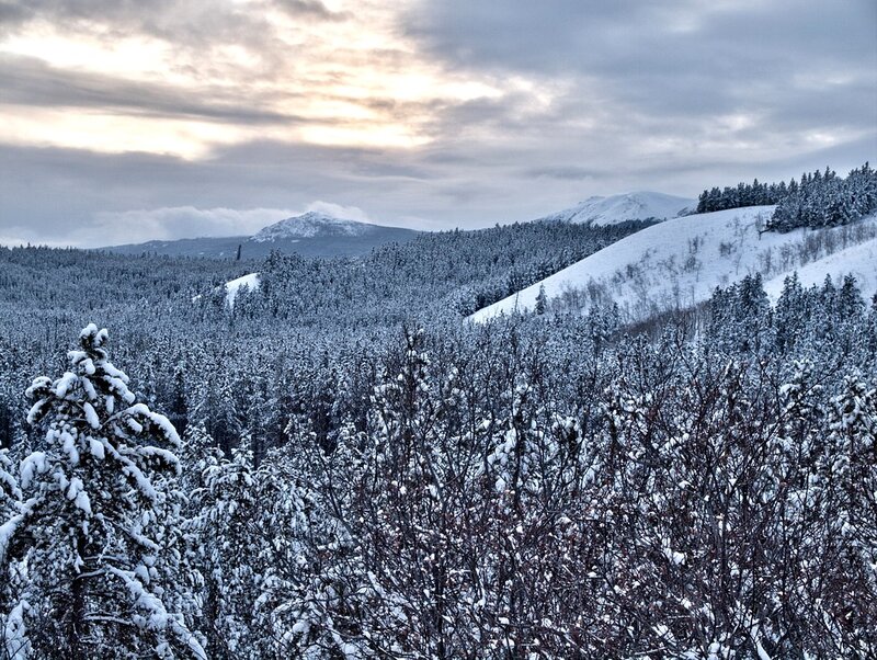 Snowy mountain forest landscape